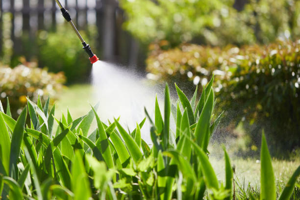 Tamper-Resistant Bait Stations for Rodents in Hodgkins